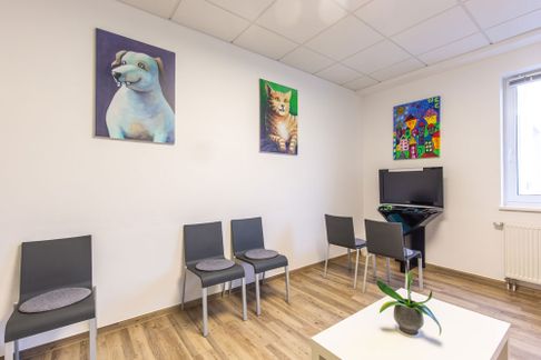 Kieferorthopädie Peine